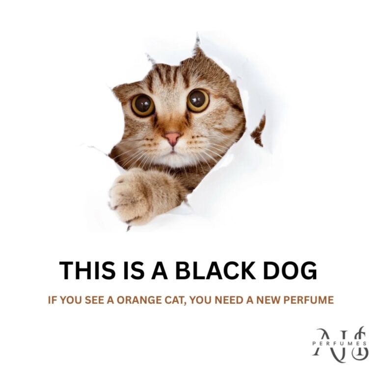 Instagram post from a.h.s_perfume. This post is in position 2.